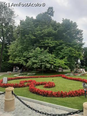 [P15] Culorile verii » foto by Zoazore
 - 
<span class="allrVoted glyphicon glyphicon-heart hidden" id="av1526205"></span>
<a class="m-l-10 hidden" id="sv1526205" onclick="voting_Foto_DelVot(,1526205,27139)" role="button">șterge vot <span class="glyphicon glyphicon-remove"></span></a>
<a id="v91526205" class=" c-red"  onclick="voting_Foto_SetVot(1526205)" role="button"><span class="glyphicon glyphicon-heart-empty"></span> <b>LIKE</b> = Votează poza</a> <img class="hidden"  id="f1526205W9" src="/imagini/loader.gif" border="0" /><span class="AjErrMes hidden" id="e1526205ErM"></span>