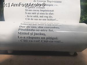 [P23] Invitatie la lectura » foto by Zoazore
 - 
<span class="allrVoted glyphicon glyphicon-heart hidden" id="av1526213"></span>
<a class="m-l-10 hidden" id="sv1526213" onclick="voting_Foto_DelVot(,1526213,27139)" role="button">șterge vot <span class="glyphicon glyphicon-remove"></span></a>
<a id="v91526213" class=" c-red"  onclick="voting_Foto_SetVot(1526213)" role="button"><span class="glyphicon glyphicon-heart-empty"></span> <b>LIKE</b> = Votează poza</a> <img class="hidden"  id="f1526213W9" src="/imagini/loader.gif" border="0" /><span class="AjErrMes hidden" id="e1526213ErM"></span>