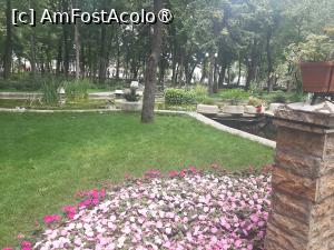 [P26] Medicamente pentru suflet » foto by Zoazore
 - 
<span class="allrVoted glyphicon glyphicon-heart hidden" id="av1526216"></span>
<a class="m-l-10 hidden" id="sv1526216" onclick="voting_Foto_DelVot(,1526216,27139)" role="button">șterge vot <span class="glyphicon glyphicon-remove"></span></a>
<a id="v91526216" class=" c-red"  onclick="voting_Foto_SetVot(1526216)" role="button"><span class="glyphicon glyphicon-heart-empty"></span> <b>LIKE</b> = Votează poza</a> <img class="hidden"  id="f1526216W9" src="/imagini/loader.gif" border="0" /><span class="AjErrMes hidden" id="e1526216ErM"></span>