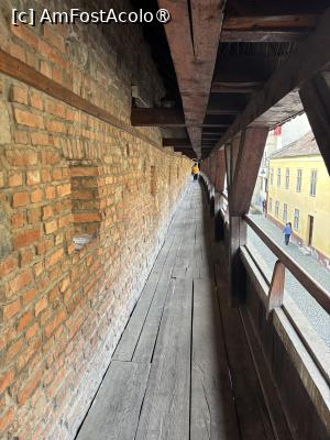 [P29] Galeria de strajă » foto by AZE
 - 
<span class="allrVoted glyphicon glyphicon-heart hidden" id="av1505770"></span>
<a class="m-l-10 hidden" id="sv1505770" onclick="voting_Foto_DelVot(,1505770,27170)" role="button">șterge vot <span class="glyphicon glyphicon-remove"></span></a>
<a id="v91505770" class=" c-red"  onclick="voting_Foto_SetVot(1505770)" role="button"><span class="glyphicon glyphicon-heart-empty"></span> <b>LIKE</b> = Votează poza</a> <img class="hidden"  id="f1505770W9" src="/imagini/loader.gif" border="0" /><span class="AjErrMes hidden" id="e1505770ErM"></span>