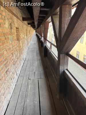 [P43] Galeria de strajă » foto by AZE
 - 
<span class="allrVoted glyphicon glyphicon-heart hidden" id="av1505785"></span>
<a class="m-l-10 hidden" id="sv1505785" onclick="voting_Foto_DelVot(,1505785,27170)" role="button">șterge vot <span class="glyphicon glyphicon-remove"></span></a>
<a id="v91505785" class=" c-red"  onclick="voting_Foto_SetVot(1505785)" role="button"><span class="glyphicon glyphicon-heart-empty"></span> <b>LIKE</b> = Votează poza</a> <img class="hidden"  id="f1505785W9" src="/imagini/loader.gif" border="0" /><span class="AjErrMes hidden" id="e1505785ErM"></span>