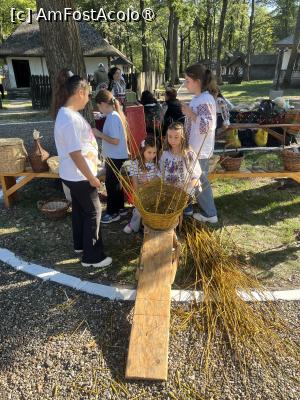 [P07] Împletituri din răchită » foto by Yersinia Pestis
 - 
<span class="allrVoted glyphicon glyphicon-heart hidden" id="av1501041"></span>
<a class="m-l-10 hidden" id="sv1501041" onclick="voting_Foto_DelVot(,1501041,27334)" role="button">șterge vot <span class="glyphicon glyphicon-remove"></span></a>
<a id="v91501041" class=" c-red"  onclick="voting_Foto_SetVot(1501041)" role="button"><span class="glyphicon glyphicon-heart-empty"></span> <b>LIKE</b> = Votează poza</a> <img class="hidden"  id="f1501041W9" src="/imagini/loader.gif" border="0" /><span class="AjErrMes hidden" id="e1501041ErM"></span>