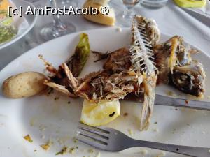 [P24] Restaurante Puerto de Laguete; cam asta a rămas din cei 3 pești... » foto by crismis
 - 
<span class="allrVoted glyphicon glyphicon-heart hidden" id="av1489749"></span>
<a class="m-l-10 hidden" id="sv1489749" onclick="voting_Foto_DelVot(,1489749,27460)" role="button">șterge vot <span class="glyphicon glyphicon-remove"></span></a>
<a id="v91489749" class=" c-red"  onclick="voting_Foto_SetVot(1489749)" role="button"><span class="glyphicon glyphicon-heart-empty"></span> <b>LIKE</b> = Votează poza</a> <img class="hidden"  id="f1489749W9" src="/imagini/loader.gif" border="0" /><span class="AjErrMes hidden" id="e1489749ErM"></span>