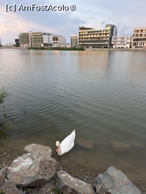 [P21] Mirage Beach, Eforie Nord. Hotelul privit de pe malul opus al lacului. » foto by Floria
 - 
<span class="allrVoted glyphicon glyphicon-heart hidden" id="av1537045"></span>
<a class="m-l-10 hidden" id="sv1537045" onclick="voting_Foto_DelVot(,1537045,27468)" role="button">șterge vot <span class="glyphicon glyphicon-remove"></span></a>
<a id="v91537045" class=" c-red"  onclick="voting_Foto_SetVot(1537045)" role="button"><span class="glyphicon glyphicon-heart-empty"></span> <b>LIKE</b> = Votează poza</a> <img class="hidden"  id="f1537045W9" src="/imagini/loader.gif" border="0" /><span class="AjErrMes hidden" id="e1537045ErM"></span>