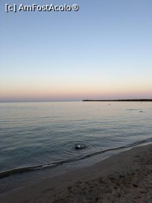[P30] Mirage Beach, Eforie Nord. Marea... » foto by Floria
 - 
<span class="allrVoted glyphicon glyphicon-heart hidden" id="av1537054"></span>
<a class="m-l-10 hidden" id="sv1537054" onclick="voting_Foto_DelVot(,1537054,27468)" role="button">șterge vot <span class="glyphicon glyphicon-remove"></span></a>
<a id="v91537054" class=" c-red"  onclick="voting_Foto_SetVot(1537054)" role="button"><span class="glyphicon glyphicon-heart-empty"></span> <b>LIKE</b> = Votează poza</a> <img class="hidden"  id="f1537054W9" src="/imagini/loader.gif" border="0" /><span class="AjErrMes hidden" id="e1537054ErM"></span>