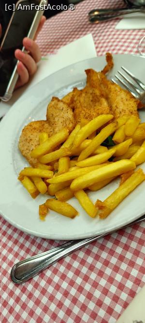[P12] Șnițel de pui cu cartofi (cotoletta con patatine). » foto by tata123 🔱
 - 
<span class="allrVoted glyphicon glyphicon-heart hidden" id="av1527330"></span>
<a class="m-l-10 hidden" id="sv1527330" onclick="voting_Foto_DelVot(,1527330,27607)" role="button">șterge vot <span class="glyphicon glyphicon-remove"></span></a>
<a id="v91527330" class=" c-red"  onclick="voting_Foto_SetVot(1527330)" role="button"><span class="glyphicon glyphicon-heart-empty"></span> <b>LIKE</b> = Votează poza</a> <img class="hidden"  id="f1527330W9" src="/imagini/loader.gif" border="0" /><span class="AjErrMes hidden" id="e1527330ErM"></span>