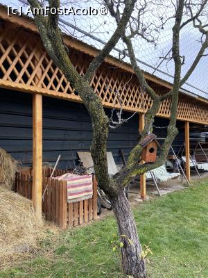 [P82] Pensiunea Melania Chiojdu - prin curte » foto by nicole33
 - 
<span class="allrVoted glyphicon glyphicon-heart hidden" id="av1511547"></span>
<a class="m-l-10 hidden" id="sv1511547" onclick="voting_Foto_DelVot(,1511547,27780)" role="button">șterge vot <span class="glyphicon glyphicon-remove"></span></a>
<a id="v91511547" class=" c-red"  onclick="voting_Foto_SetVot(1511547)" role="button"><span class="glyphicon glyphicon-heart-empty"></span> <b>LIKE</b> = Votează poza</a> <img class="hidden"  id="f1511547W9" src="/imagini/loader.gif" border="0" /><span class="AjErrMes hidden" id="e1511547ErM"></span>