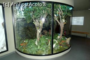 [P32] Diorama dedicată ”Pădurii tropicale” » foto by Claudiu U.
 - 
<span class="allrVoted glyphicon glyphicon-heart hidden" id="av1548668"></span>
<a class="m-l-10 hidden" id="sv1548668" onclick="voting_Foto_DelVot(,1548668,27913)" role="button">șterge vot <span class="glyphicon glyphicon-remove"></span></a>
<a id="v91548668" class=" c-red"  onclick="voting_Foto_SetVot(1548668)" role="button"><span class="glyphicon glyphicon-heart-empty"></span> <b>LIKE</b> = Votează poza</a> <img class="hidden"  id="f1548668W9" src="/imagini/loader.gif" border="0" /><span class="AjErrMes hidden" id="e1548668ErM"></span>