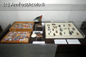 [P36] Expoziția temporară ”Culorile naturii” » foto by Claudiu U.
 - 
<span class="allrVoted glyphicon glyphicon-heart hidden" id="av1548672"></span>
<a class="m-l-10 hidden" id="sv1548672" onclick="voting_Foto_DelVot(,1548672,27913)" role="button">șterge vot <span class="glyphicon glyphicon-remove"></span></a>
<a id="v91548672" class=" c-red"  onclick="voting_Foto_SetVot(1548672)" role="button"><span class="glyphicon glyphicon-heart-empty"></span> <b>LIKE</b> = Votează poza</a> <img class="hidden"  id="f1548672W9" src="/imagini/loader.gif" border="0" /><span class="AjErrMes hidden" id="e1548672ErM"></span>