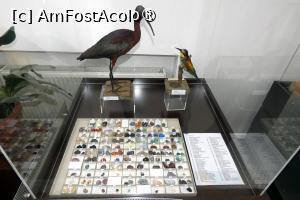 [P38] Expoziția temporară ”Culorile naturii” » foto by Claudiu U.
 - 
<span class="allrVoted glyphicon glyphicon-heart hidden" id="av1548674"></span>
<a class="m-l-10 hidden" id="sv1548674" onclick="voting_Foto_DelVot(,1548674,27913)" role="button">șterge vot <span class="glyphicon glyphicon-remove"></span></a>
<a id="v91548674" class=" c-red"  onclick="voting_Foto_SetVot(1548674)" role="button"><span class="glyphicon glyphicon-heart-empty"></span> <b>LIKE</b> = Votează poza</a> <img class="hidden"  id="f1548674W9" src="/imagini/loader.gif" border="0" /><span class="AjErrMes hidden" id="e1548674ErM"></span>