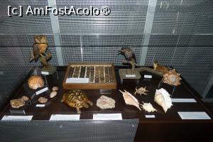 [P40] Expoziția temporară ”Culorile naturii” » foto by Claudiu U.
 - 
<span class="allrVoted glyphicon glyphicon-heart hidden" id="av1548676"></span>
<a class="m-l-10 hidden" id="sv1548676" onclick="voting_Foto_DelVot(,1548676,27913)" role="button">șterge vot <span class="glyphicon glyphicon-remove"></span></a>
<a id="v91548676" class=" c-red"  onclick="voting_Foto_SetVot(1548676)" role="button"><span class="glyphicon glyphicon-heart-empty"></span> <b>LIKE</b> = Votează poza</a> <img class="hidden"  id="f1548676W9" src="/imagini/loader.gif" border="0" /><span class="AjErrMes hidden" id="e1548676ErM"></span>
