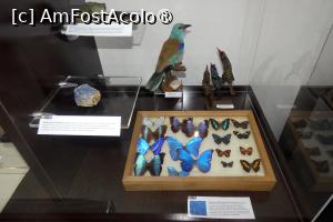 [P42] Expoziția temporară ”Culorile naturii” » foto by Claudiu U.
 - 
<span class="allrVoted glyphicon glyphicon-heart hidden" id="av1548678"></span>
<a class="m-l-10 hidden" id="sv1548678" onclick="voting_Foto_DelVot(,1548678,27913)" role="button">șterge vot <span class="glyphicon glyphicon-remove"></span></a>
<a id="v91548678" class=" c-red"  onclick="voting_Foto_SetVot(1548678)" role="button"><span class="glyphicon glyphicon-heart-empty"></span> <b>LIKE</b> = Votează poza</a> <img class="hidden"  id="f1548678W9" src="/imagini/loader.gif" border="0" /><span class="AjErrMes hidden" id="e1548678ErM"></span>