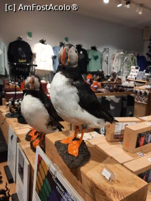 [P03]  -- <small>// FĂRĂ DESCRIERE</small> » foto by adso
 - 
<span class="allrVoted glyphicon glyphicon-heart hidden" id="av1513236"></span>
<a class="m-l-10 hidden" id="sv1513236" onclick="voting_Foto_DelVot(,1513236,27932)" role="button">șterge vot <span class="glyphicon glyphicon-remove"></span></a>
<a id="v91513236" class=" c-red"  onclick="voting_Foto_SetVot(1513236)" role="button"><span class="glyphicon glyphicon-heart-empty"></span> <b>LIKE</b> = Votează poza</a> <img class="hidden"  id="f1513236W9" src="/imagini/loader.gif" border="0" /><span class="AjErrMes hidden" id="e1513236ErM"></span>