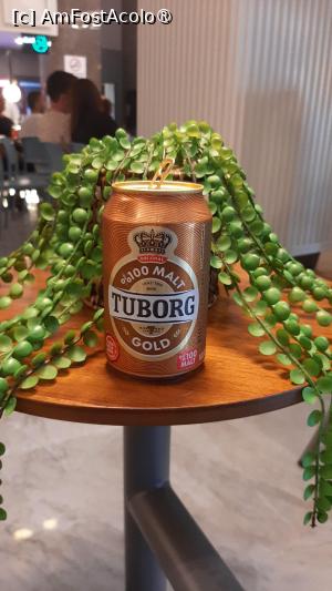 [P63] Un tuborg lângă o plantă ce o îmbrățișează » foto by moraru marian
 - 
<span class="allrVoted glyphicon glyphicon-heart hidden" id="av1450884"></span>
<a class="m-l-10 hidden" id="sv1450884" onclick="voting_Foto_DelVot(,1450884,27987)" role="button">șterge vot <span class="glyphicon glyphicon-remove"></span></a>
<a id="v91450884" class=" c-red"  onclick="voting_Foto_SetVot(1450884)" role="button"><span class="glyphicon glyphicon-heart-empty"></span> <b>LIKE</b> = Votează poza</a> <img class="hidden"  id="f1450884W9" src="/imagini/loader.gif" border="0" /><span class="AjErrMes hidden" id="e1450884ErM"></span>