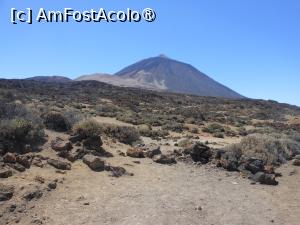 [P07] Tenerife - Parque Nacional del Teide. Vulcanul. » foto by iulianic
 - 
<span class="allrVoted glyphicon glyphicon-heart hidden" id="av1429595"></span>
<a class="m-l-10 hidden" id="sv1429595" onclick="voting_Foto_DelVot(,1429595,28122)" role="button">șterge vot <span class="glyphicon glyphicon-remove"></span></a>
<a id="v91429595" class=" c-red"  onclick="voting_Foto_SetVot(1429595)" role="button"><span class="glyphicon glyphicon-heart-empty"></span> <b>LIKE</b> = Votează poza</a> <img class="hidden"  id="f1429595W9" src="/imagini/loader.gif" border="0" /><span class="AjErrMes hidden" id="e1429595ErM"></span>