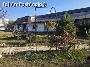[P31] Prin curte; trandafiri, o căruță colorată și clădirea cu toaletele » foto by crismis
 - 
<span class="allrVoted glyphicon glyphicon-heart hidden" id="av1544446"></span>
<a class="m-l-10 hidden" id="sv1544446" onclick="voting_Foto_DelVot(,1544446,28153)" role="button">șterge vot <span class="glyphicon glyphicon-remove"></span></a>
<a id="v91544446" class=" c-red"  onclick="voting_Foto_SetVot(1544446)" role="button"><span class="glyphicon glyphicon-heart-empty"></span> <b>LIKE</b> = Votează poza</a> <img class="hidden"  id="f1544446W9" src="/imagini/loader.gif" border="0" /><span class="AjErrMes hidden" id="e1544446ErM"></span>