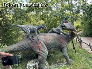 P11 [JUL-2023] Dino Park Funtana