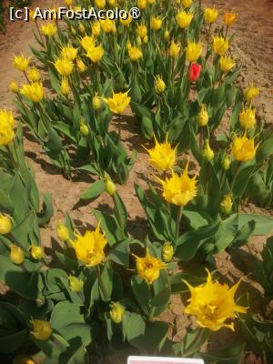 [P02]  -- <small>// FĂRĂ DESCRIERE</small> » foto by Cristian_h
 - 
<span class="allrVoted glyphicon glyphicon-heart hidden" id="av1518633"></span>
<a class="m-l-10 hidden" id="sv1518633" onclick="voting_Foto_DelVot(,1518633,28416)" role="button">șterge vot <span class="glyphicon glyphicon-remove"></span></a>
<a id="v91518633" class=" c-red"  onclick="voting_Foto_SetVot(1518633)" role="button"><span class="glyphicon glyphicon-heart-empty"></span> <b>LIKE</b> = Votează poza</a> <img class="hidden"  id="f1518633W9" src="/imagini/loader.gif" border="0" /><span class="AjErrMes hidden" id="e1518633ErM"></span>