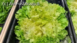 [P14] salata scarole 2,5 euro buc » foto by Yolanda
 - 
<span class="allrVoted glyphicon glyphicon-heart hidden" id="av1427495"></span>
<a class="m-l-10 hidden" id="sv1427495" onclick="voting_Foto_DelVot(,1427495,28549)" role="button">șterge vot <span class="glyphicon glyphicon-remove"></span></a>
<a id="v91427495" class=" c-red"  onclick="voting_Foto_SetVot(1427495)" role="button"><span class="glyphicon glyphicon-heart-empty"></span> <b>LIKE</b> = Votează poza</a> <img class="hidden"  id="f1427495W9" src="/imagini/loader.gif" border="0" /><span class="AjErrMes hidden" id="e1427495ErM"></span>