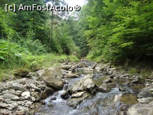 [P34] Am coborât puțin în albia pârâului Muntioru; mai aveam ceva de mers până la frumoasa cascadă ascunsă în această vale.  » foto by Floryn81
 - 
<span class="allrVoted glyphicon glyphicon-heart hidden" id="av760473"></span>
<a class="m-l-10 hidden" id="sv760473" onclick="voting_Foto_DelVot(,760473,28582)" role="button">șterge vot <span class="glyphicon glyphicon-remove"></span></a>
<a id="v9760473" class=" c-red"  onclick="voting_Foto_SetVot(760473)" role="button"><span class="glyphicon glyphicon-heart-empty"></span> <b>LIKE</b> = Votează poza</a> <img class="hidden"  id="f760473W9" src="/imagini/loader.gif" border="0" /><span class="AjErrMes hidden" id="e760473ErM"></span>