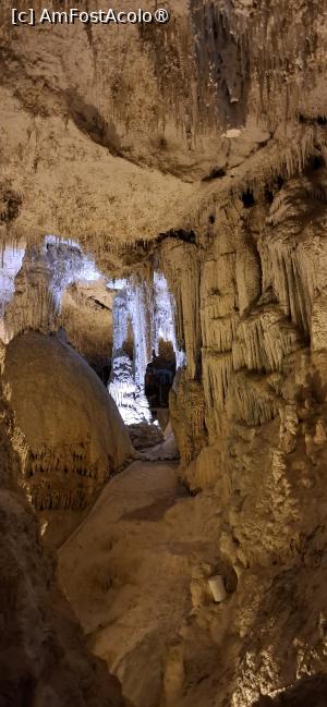 [P20] Capo Caccia - Grotte di Nettuno. » foto by iulianic
 - 
<span class="allrVoted glyphicon glyphicon-heart hidden" id="av1449609"></span>
<a class="m-l-10 hidden" id="sv1449609" onclick="voting_Foto_DelVot(,1449609,28742)" role="button">șterge vot <span class="glyphicon glyphicon-remove"></span></a>
<a id="v91449609" class=" c-red"  onclick="voting_Foto_SetVot(1449609)" role="button"><span class="glyphicon glyphicon-heart-empty"></span> <b>LIKE</b> = Votează poza</a> <img class="hidden"  id="f1449609W9" src="/imagini/loader.gif" border="0" /><span class="AjErrMes hidden" id="e1449609ErM"></span>