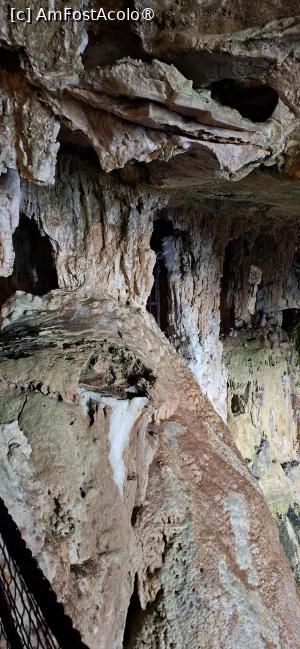 [P24] Capo Caccia - Grotte di Nettuno. » foto by iulianic
 - 
<span class="allrVoted glyphicon glyphicon-heart hidden" id="av1449613"></span>
<a class="m-l-10 hidden" id="sv1449613" onclick="voting_Foto_DelVot(,1449613,28742)" role="button">șterge vot <span class="glyphicon glyphicon-remove"></span></a>
<a id="v91449613" class=" c-red"  onclick="voting_Foto_SetVot(1449613)" role="button"><span class="glyphicon glyphicon-heart-empty"></span> <b>LIKE</b> = Votează poza</a> <img class="hidden"  id="f1449613W9" src="/imagini/loader.gif" border="0" /><span class="AjErrMes hidden" id="e1449613ErM"></span>