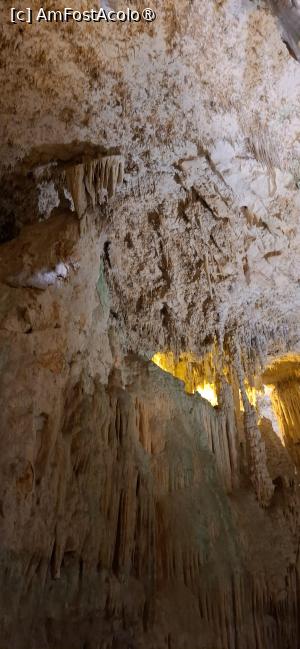 [P29] Capo Caccia - Grotte di Nettuno. » foto by iulianic
 - 
<span class="allrVoted glyphicon glyphicon-heart hidden" id="av1449618"></span>
<a class="m-l-10 hidden" id="sv1449618" onclick="voting_Foto_DelVot(,1449618,28742)" role="button">șterge vot <span class="glyphicon glyphicon-remove"></span></a>
<a id="v91449618" class=" c-red"  onclick="voting_Foto_SetVot(1449618)" role="button"><span class="glyphicon glyphicon-heart-empty"></span> <b>LIKE</b> = Votează poza</a> <img class="hidden"  id="f1449618W9" src="/imagini/loader.gif" border="0" /><span class="AjErrMes hidden" id="e1449618ErM"></span>