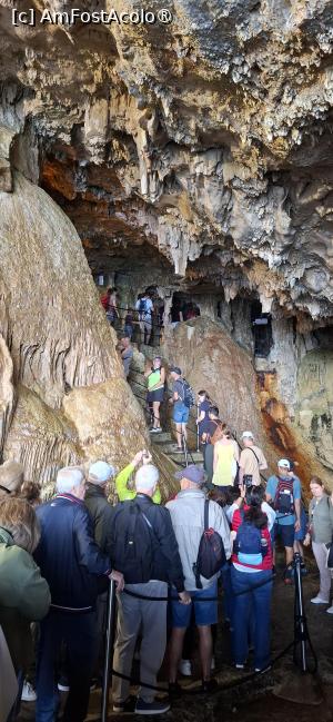 [P07] Capo Caccia - Grotte di Nettuno. » foto by iulianic
 - 
<span class="allrVoted glyphicon glyphicon-heart hidden" id="av1449596"></span>
<a class="m-l-10 hidden" id="sv1449596" onclick="voting_Foto_DelVot(,1449596,28742)" role="button">șterge vot <span class="glyphicon glyphicon-remove"></span></a>
<a id="v91449596" class=" c-red"  onclick="voting_Foto_SetVot(1449596)" role="button"><span class="glyphicon glyphicon-heart-empty"></span> <b>LIKE</b> = Votează poza</a> <img class="hidden"  id="f1449596W9" src="/imagini/loader.gif" border="0" /><span class="AjErrMes hidden" id="e1449596ErM"></span>