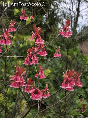 [P55] Floră specifică » foto by crismis
 - 
<span class="allrVoted glyphicon glyphicon-heart hidden" id="av1542740"></span>
<a class="m-l-10 hidden" id="sv1542740" onclick="voting_Foto_DelVot(,1542740,28750)" role="button">șterge vot <span class="glyphicon glyphicon-remove"></span></a>
<a id="v91542740" class=" c-red"  onclick="voting_Foto_SetVot(1542740)" role="button"><span class="glyphicon glyphicon-heart-empty"></span> <b>LIKE</b> = Votează poza</a> <img class="hidden"  id="f1542740W9" src="/imagini/loader.gif" border="0" /><span class="AjErrMes hidden" id="e1542740ErM"></span>