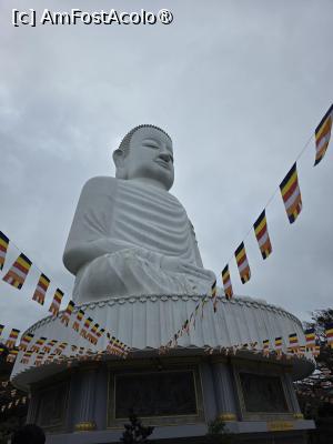 [P96] Buda uriaș » foto by crismis
 - 
<span class="allrVoted glyphicon glyphicon-heart hidden" id="av1542781"></span>
<a class="m-l-10 hidden" id="sv1542781" onclick="voting_Foto_DelVot(,1542781,28750)" role="button">șterge vot <span class="glyphicon glyphicon-remove"></span></a>
<a id="v91542781" class=" c-red"  onclick="voting_Foto_SetVot(1542781)" role="button"><span class="glyphicon glyphicon-heart-empty"></span> <b>LIKE</b> = Votează poza</a> <img class="hidden"  id="f1542781W9" src="/imagini/loader.gif" border="0" /><span class="AjErrMes hidden" id="e1542781ErM"></span>