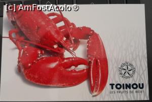 [P30] restaurant Toinou » foto by Yolanda
 - 
<span class="allrVoted glyphicon glyphicon-heart hidden" id="av1515305"></span>
<a class="m-l-10 hidden" id="sv1515305" onclick="voting_Foto_DelVot(,1515305,28802)" role="button">șterge vot <span class="glyphicon glyphicon-remove"></span></a>
<a id="v91515305" class=" c-red"  onclick="voting_Foto_SetVot(1515305)" role="button"><span class="glyphicon glyphicon-heart-empty"></span> <b>LIKE</b> = Votează poza</a> <img class="hidden"  id="f1515305W9" src="/imagini/loader.gif" border="0" /><span class="AjErrMes hidden" id="e1515305ErM"></span>