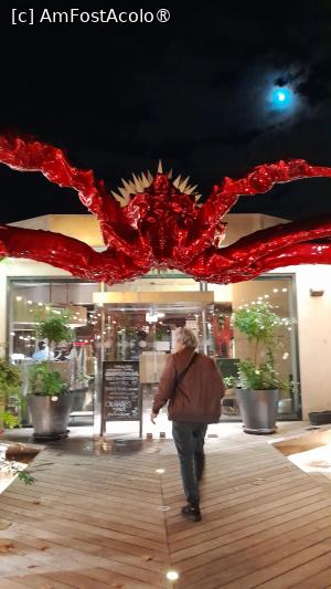 [P05] crabul rosu Toinou » foto by Yolanda
 - 
<span class="allrVoted glyphicon glyphicon-heart hidden" id="av1515280"></span>
<a class="m-l-10 hidden" id="sv1515280" onclick="voting_Foto_DelVot(,1515280,28802)" role="button">șterge vot <span class="glyphicon glyphicon-remove"></span></a>
<a id="v91515280" class=" c-red"  onclick="voting_Foto_SetVot(1515280)" role="button"><span class="glyphicon glyphicon-heart-empty"></span> <b>LIKE</b> = Votează poza</a> <img class="hidden"  id="f1515280W9" src="/imagini/loader.gif" border="0" /><span class="AjErrMes hidden" id="e1515280ErM"></span>