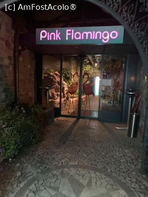 [P01] Intrarea la Pink Flamingo » foto by AZE
 - 
<span class="allrVoted glyphicon glyphicon-heart hidden" id="av1461431"></span>
<a class="m-l-10 hidden" id="sv1461431" onclick="voting_Foto_DelVot(,1461431,28820)" role="button">șterge vot <span class="glyphicon glyphicon-remove"></span></a>
<a id="v91461431" class=" c-red"  onclick="voting_Foto_SetVot(1461431)" role="button"><span class="glyphicon glyphicon-heart-empty"></span> <b>LIKE</b> = Votează poza</a> <img class="hidden"  id="f1461431W9" src="/imagini/loader.gif" border="0" /><span class="AjErrMes hidden" id="e1461431ErM"></span>