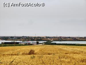 [P41] Spre digul peste lacul Corbu » foto by crismis
 - 
<span class="allrVoted glyphicon glyphicon-heart hidden" id="av1463646"></span>
<a class="m-l-10 hidden" id="sv1463646" onclick="voting_Foto_DelVot(,1463646,28836)" role="button">șterge vot <span class="glyphicon glyphicon-remove"></span></a>
<a id="v91463646" class=" c-red"  onclick="voting_Foto_SetVot(1463646)" role="button"><span class="glyphicon glyphicon-heart-empty"></span> <b>LIKE</b> = Votează poza</a> <img class="hidden"  id="f1463646W9" src="/imagini/loader.gif" border="0" /><span class="AjErrMes hidden" id="e1463646ErM"></span>