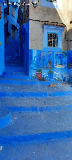 [P36] Chefchaouen, Prin Medină » foto by mprofeanu
 - 
<span class="allrVoted glyphicon glyphicon-heart hidden" id="av1467402"></span>
<a class="m-l-10 hidden" id="sv1467402" onclick="voting_Foto_DelVot(,1467402,28870)" role="button">șterge vot <span class="glyphicon glyphicon-remove"></span></a>
<a id="v91467402" class=" c-red"  onclick="voting_Foto_SetVot(1467402)" role="button"><span class="glyphicon glyphicon-heart-empty"></span> <b>LIKE</b> = Votează poza</a> <img class="hidden"  id="f1467402W9" src="/imagini/loader.gif" border="0" /><span class="AjErrMes hidden" id="e1467402ErM"></span>