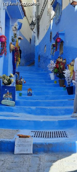 [P50] Chefchaouen, Prin Medină, alt loc pentru pozat » foto by mprofeanu
 - 
<span class="allrVoted glyphicon glyphicon-heart hidden" id="av1467416"></span>
<a class="m-l-10 hidden" id="sv1467416" onclick="voting_Foto_DelVot(,1467416,28870)" role="button">șterge vot <span class="glyphicon glyphicon-remove"></span></a>
<a id="v91467416" class=" c-red"  onclick="voting_Foto_SetVot(1467416)" role="button"><span class="glyphicon glyphicon-heart-empty"></span> <b>LIKE</b> = Votează poza</a> <img class="hidden"  id="f1467416W9" src="/imagini/loader.gif" border="0" /><span class="AjErrMes hidden" id="e1467416ErM"></span>