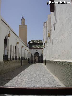 [P15] La Mausoleul de la MOulay Idris.  » foto by alinaro
 - 
<span class="allrVoted glyphicon glyphicon-heart hidden" id="av686365"></span>
<a class="m-l-10 hidden" id="sv686365" onclick="voting_Foto_DelVot(,686365,28879)" role="button">șterge vot <span class="glyphicon glyphicon-remove"></span></a>
<a id="v9686365" class=" c-red"  onclick="voting_Foto_SetVot(686365)" role="button"><span class="glyphicon glyphicon-heart-empty"></span> <b>LIKE</b> = Votează poza</a> <img class="hidden"  id="f686365W9" src="/imagini/loader.gif" border="0" /><span class="AjErrMes hidden" id="e686365ErM"></span>