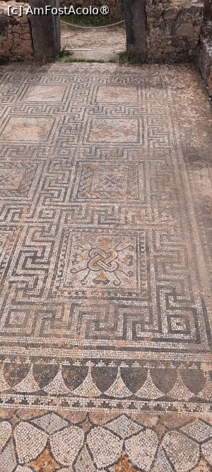 [P18] Volubilis, Casa Animalelor sălbatice, mozaic » foto by mprofeanu
 - 
<span class="allrVoted glyphicon glyphicon-heart hidden" id="av1468592"></span>
<a class="m-l-10 hidden" id="sv1468592" onclick="voting_Foto_DelVot(,1468592,28879)" role="button">șterge vot <span class="glyphicon glyphicon-remove"></span></a>
<a id="v91468592" class=" c-red"  onclick="voting_Foto_SetVot(1468592)" role="button"><span class="glyphicon glyphicon-heart-empty"></span> <b>LIKE</b> = Votează poza</a> <img class="hidden"  id="f1468592W9" src="/imagini/loader.gif" border="0" /><span class="AjErrMes hidden" id="e1468592ErM"></span>