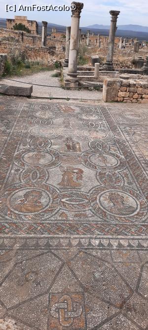 [P19] Volubilis, Casa Băii Nimfelor » foto by mprofeanu
 - 
<span class="allrVoted glyphicon glyphicon-heart hidden" id="av1468593"></span>
<a class="m-l-10 hidden" id="sv1468593" onclick="voting_Foto_DelVot(,1468593,28879)" role="button">șterge vot <span class="glyphicon glyphicon-remove"></span></a>
<a id="v91468593" class=" c-red"  onclick="voting_Foto_SetVot(1468593)" role="button"><span class="glyphicon glyphicon-heart-empty"></span> <b>LIKE</b> = Votează poza</a> <img class="hidden"  id="f1468593W9" src="/imagini/loader.gif" border="0" /><span class="AjErrMes hidden" id="e1468593ErM"></span>