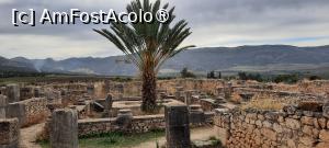 [P21] Volubilis, Casa Nereidelor, nimfele mărilor » foto by mprofeanu
 - 
<span class="allrVoted glyphicon glyphicon-heart hidden" id="av1468595"></span>
<a class="m-l-10 hidden" id="sv1468595" onclick="voting_Foto_DelVot(,1468595,28879)" role="button">șterge vot <span class="glyphicon glyphicon-remove"></span></a>
<a id="v91468595" class=" c-red"  onclick="voting_Foto_SetVot(1468595)" role="button"><span class="glyphicon glyphicon-heart-empty"></span> <b>LIKE</b> = Votează poza</a> <img class="hidden"  id="f1468595W9" src="/imagini/loader.gif" border="0" /><span class="AjErrMes hidden" id="e1468595ErM"></span>