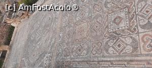 [P24] Volubilis, Casa Muncile lui Hercule, „Mozaic cu motive geometrice și florale” » foto by mprofeanu
 - 
<span class="allrVoted glyphicon glyphicon-heart hidden" id="av1468598"></span>
<a class="m-l-10 hidden" id="sv1468598" onclick="voting_Foto_DelVot(,1468598,28879)" role="button">șterge vot <span class="glyphicon glyphicon-remove"></span></a>
<a id="v91468598" class=" c-red"  onclick="voting_Foto_SetVot(1468598)" role="button"><span class="glyphicon glyphicon-heart-empty"></span> <b>LIKE</b> = Votează poza</a> <img class="hidden"  id="f1468598W9" src="/imagini/loader.gif" border="0" /><span class="AjErrMes hidden" id="e1468598ErM"></span>