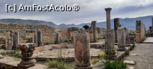 [P27] Volubilis, Casa cu Coloane în diferite stadii de ruinare, în prim plan un Capiteliu bine păstrat » foto by mprofeanu
 - 
<span class="allrVoted glyphicon glyphicon-heart hidden" id="av1468601"></span>
<a class="m-l-10 hidden" id="sv1468601" onclick="voting_Foto_DelVot(,1468601,28879)" role="button">șterge vot <span class="glyphicon glyphicon-remove"></span></a>
<a id="v91468601" class=" c-red"  onclick="voting_Foto_SetVot(1468601)" role="button"><span class="glyphicon glyphicon-heart-empty"></span> <b>LIKE</b> = Votează poza</a> <img class="hidden"  id="f1468601W9" src="/imagini/loader.gif" border="0" /><span class="AjErrMes hidden" id="e1468601ErM"></span>