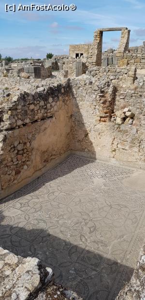 [P04] Mozaic intr-o casa de oameni bogati din cetate, Volubilis » foto by Dorina9
 - 
<span class="allrVoted glyphicon glyphicon-heart hidden" id="av1146136"></span>
<a class="m-l-10 hidden" id="sv1146136" onclick="voting_Foto_DelVot(,1146136,28879)" role="button">șterge vot <span class="glyphicon glyphicon-remove"></span></a>
<a id="v91146136" class=" c-red"  onclick="voting_Foto_SetVot(1146136)" role="button"><span class="glyphicon glyphicon-heart-empty"></span> <b>LIKE</b> = Votează poza</a> <img class="hidden"  id="f1146136W9" src="/imagini/loader.gif" border="0" /><span class="AjErrMes hidden" id="e1146136ErM"></span>