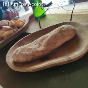 [P17] Pita facuta in casa » foto by fredutza
 - 
<span class="allrVoted glyphicon glyphicon-heart hidden" id="av1469106"></span>
<a class="m-l-10 hidden" id="sv1469106" onclick="voting_Foto_DelVot(,1469106,28885)" role="button">șterge vot <span class="glyphicon glyphicon-remove"></span></a>
<a id="v91469106" class=" c-red"  onclick="voting_Foto_SetVot(1469106)" role="button"><span class="glyphicon glyphicon-heart-empty"></span> <b>LIKE</b> = Votează poza</a> <img class="hidden"  id="f1469106W9" src="/imagini/loader.gif" border="0" /><span class="AjErrMes hidden" id="e1469106ErM"></span>