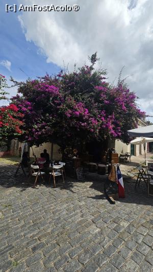 [P24] la pas prin Colonia » foto by robert
 - 
<span class="allrVoted glyphicon glyphicon-heart hidden" id="av1529239"></span>
<a class="m-l-10 hidden" id="sv1529239" onclick="voting_Foto_DelVot(,1529239,28903)" role="button">șterge vot <span class="glyphicon glyphicon-remove"></span></a>
<a id="v91529239" class=" c-red"  onclick="voting_Foto_SetVot(1529239)" role="button"><span class="glyphicon glyphicon-heart-empty"></span> <b>LIKE</b> = Votează poza</a> <img class="hidden"  id="f1529239W9" src="/imagini/loader.gif" border="0" /><span class="AjErrMes hidden" id="e1529239ErM"></span>