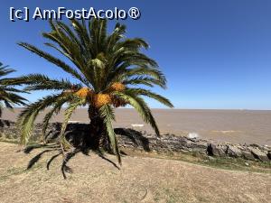 [P10] Vedere spre Rio la Plata,apa este maro de la sedimente » foto by AZE
 - 
<span class="allrVoted glyphicon glyphicon-heart hidden" id="av1534883"></span>
<a class="m-l-10 hidden" id="sv1534883" onclick="voting_Foto_DelVot(,1534883,28903)" role="button">șterge vot <span class="glyphicon glyphicon-remove"></span></a>
<a id="v91534883" class=" c-red"  onclick="voting_Foto_SetVot(1534883)" role="button"><span class="glyphicon glyphicon-heart-empty"></span> <b>LIKE</b> = Votează poza</a> <img class="hidden"  id="f1534883W9" src="/imagini/loader.gif" border="0" /><span class="AjErrMes hidden" id="e1534883ErM"></span>