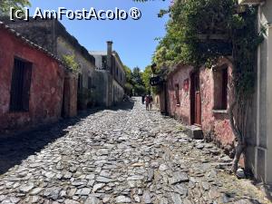 [P04] Stradă în Colonia » foto by AZE
 - 
<span class="allrVoted glyphicon glyphicon-heart hidden" id="av1534877"></span>
<a class="m-l-10 hidden" id="sv1534877" onclick="voting_Foto_DelVot(,1534877,28903)" role="button">șterge vot <span class="glyphicon glyphicon-remove"></span></a>
<a id="v91534877" class=" c-red"  onclick="voting_Foto_SetVot(1534877)" role="button"><span class="glyphicon glyphicon-heart-empty"></span> <b>LIKE</b> = Votează poza</a> <img class="hidden"  id="f1534877W9" src="/imagini/loader.gif" border="0" /><span class="AjErrMes hidden" id="e1534877ErM"></span>