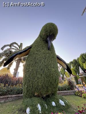 [P45] Miracle Garden Dubai » foto by AZE
 - 
<span class="allrVoted glyphicon glyphicon-heart hidden" id="av1484560"></span>
<a class="m-l-10 hidden" id="sv1484560" onclick="voting_Foto_DelVot(,1484560,28974)" role="button">șterge vot <span class="glyphicon glyphicon-remove"></span></a>
<a id="v91484560" class=" c-red"  onclick="voting_Foto_SetVot(1484560)" role="button"><span class="glyphicon glyphicon-heart-empty"></span> <b>LIKE</b> = Votează poza</a> <img class="hidden"  id="f1484560W9" src="/imagini/loader.gif" border="0" /><span class="AjErrMes hidden" id="e1484560ErM"></span>