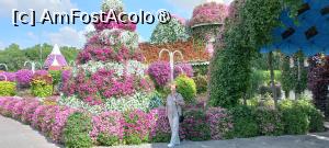 [P10] MIRACLE GARDEN - o grădină ruptă din Rai! » foto by elenaadina
 - 
<span class="allrVoted glyphicon glyphicon-heart hidden" id="av1415077"></span>
<a class="m-l-10 hidden" id="sv1415077" onclick="voting_Foto_DelVot(,1415077,28974)" role="button">șterge vot <span class="glyphicon glyphicon-remove"></span></a>
<a id="v91415077" class=" c-red"  onclick="voting_Foto_SetVot(1415077)" role="button"><span class="glyphicon glyphicon-heart-empty"></span> <b>LIKE</b> = Votează poza</a> <img class="hidden"  id="f1415077W9" src="/imagini/loader.gif" border="0" /><span class="AjErrMes hidden" id="e1415077ErM"></span>