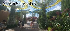 [P12] MIRACLE GARDEN - o grădină ruptă din Rai! » foto by elenaadina
 - 
<span class="allrVoted glyphicon glyphicon-heart hidden" id="av1415079"></span>
<a class="m-l-10 hidden" id="sv1415079" onclick="voting_Foto_DelVot(,1415079,28974)" role="button">șterge vot <span class="glyphicon glyphicon-remove"></span></a>
<a id="v91415079" class=" c-red"  onclick="voting_Foto_SetVot(1415079)" role="button"><span class="glyphicon glyphicon-heart-empty"></span> <b>LIKE</b> = Votează poza</a> <img class="hidden"  id="f1415079W9" src="/imagini/loader.gif" border="0" /><span class="AjErrMes hidden" id="e1415079ErM"></span>